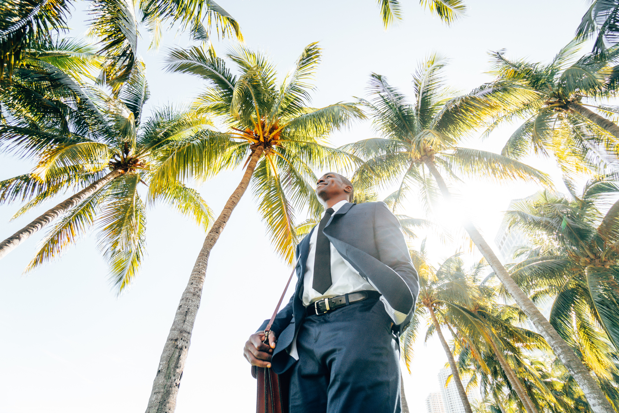 Low-angle view of a businessman in a suit standing beneath tall palm trees in a sunny tropical city, looking upward with sunlight filtering through the leaves.